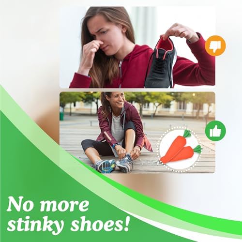 Carrotsoles 2 Pack Shoe Deodorizer with Bamboo Charcoal and Lavender