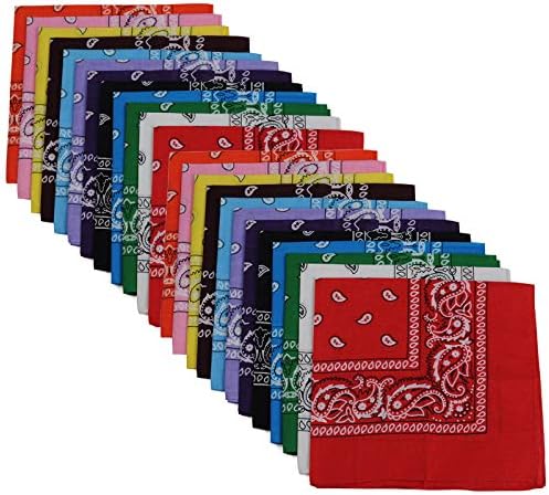 24pcs 22x22 Inch Cotton Paisley Bandanas