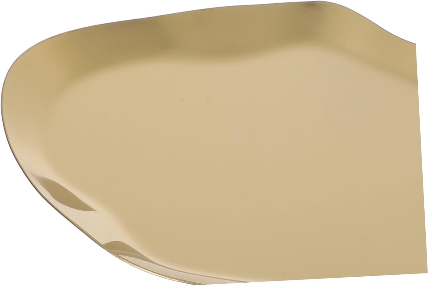 Alipis Golden Stainless Steel Jewelry Storage Tray