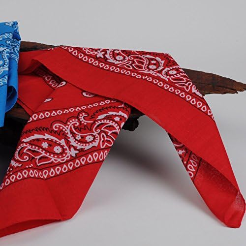 24pcs 22x22 Inch Cotton Paisley Bandanas