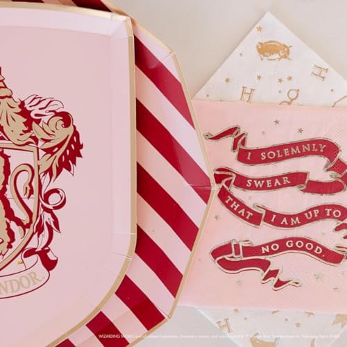 Harry Potter House Party Paper Ties 8 Pack
