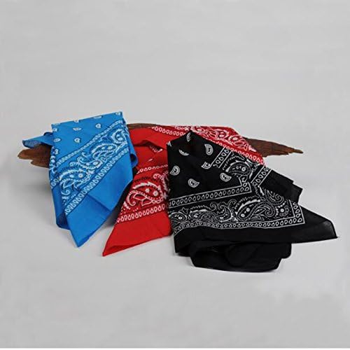 24pcs 22x22 Inch Cotton Paisley Bandanas
