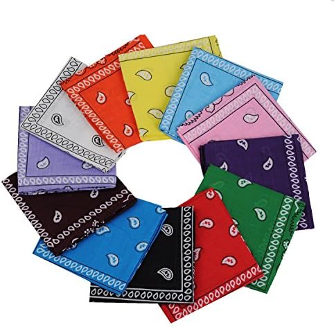 24pcs 22x22 Inch Cotton Paisley Bandanas