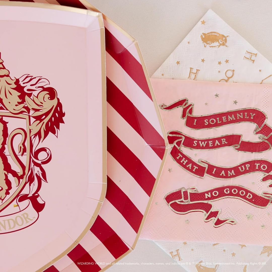 Harry Potter House Party Paper Ties 8 Pack
