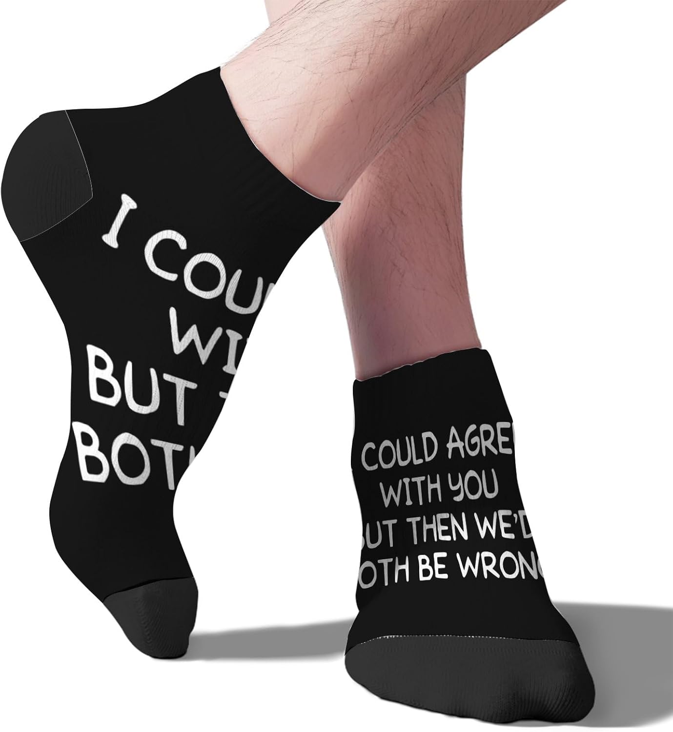Id Agree With You But Then Wed Both Be Wrong Socks