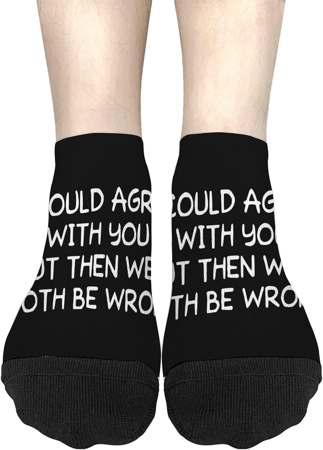 Id Agree With You But Then Wed Both Be Wrong Socks