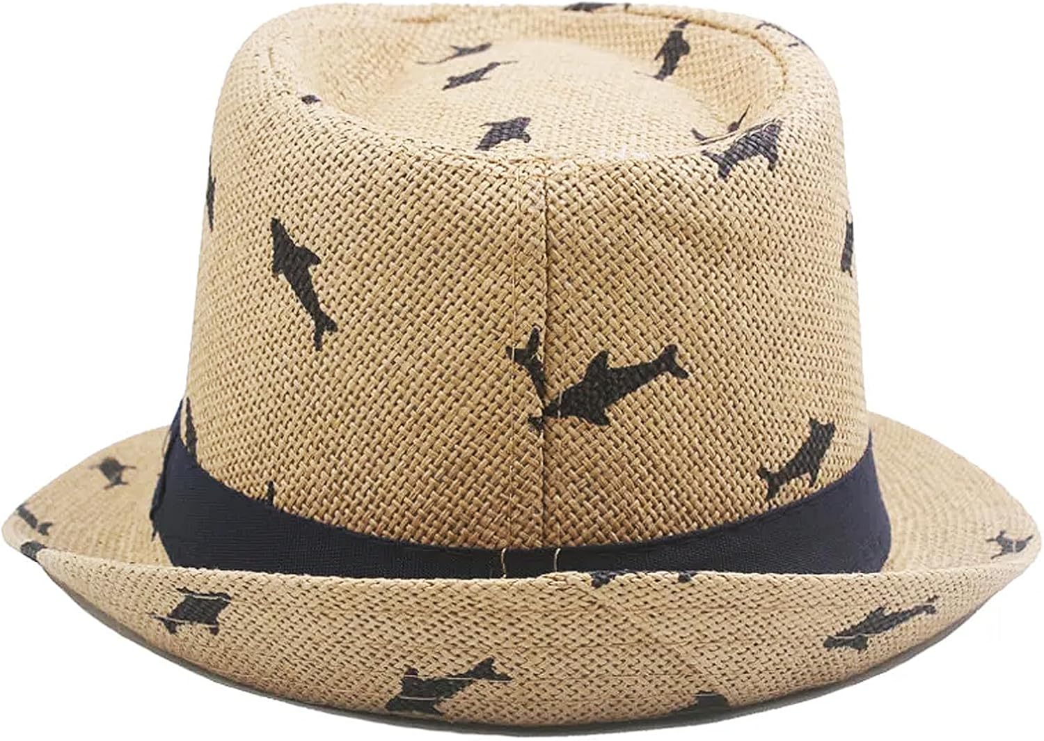 Summer Fedora Hat for Kids 4-8 Years
